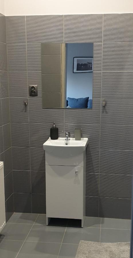 Wadowice Apartamenty Nad Skawa Экстерьер фото